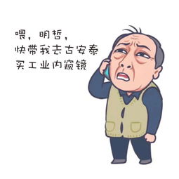 表情包你好苏大强