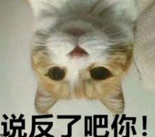  低劣的翻译,摧毁的是媒体的公信力