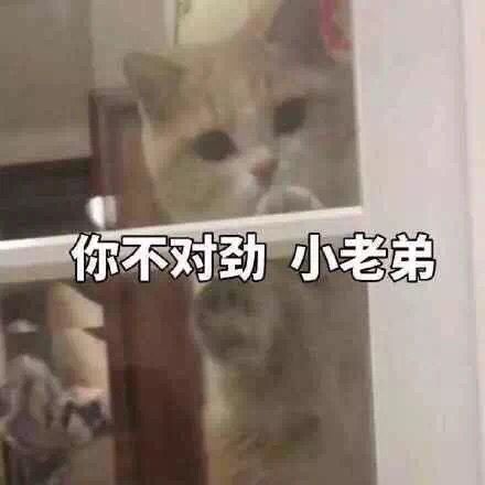  你不对劲表情包你不对劲微信表情包你不对劲qq表情包发表情fabiaoqing.com
