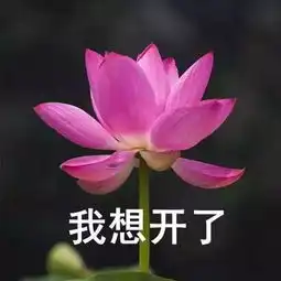  转会谜团f4撑起暑期档,各家球迷树上乘凉