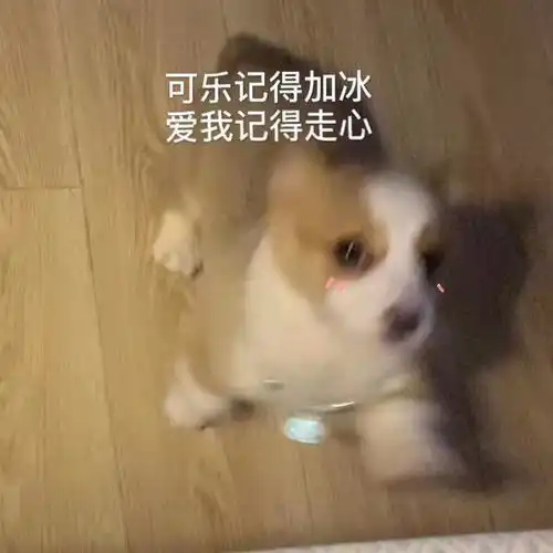  实用表情包合集