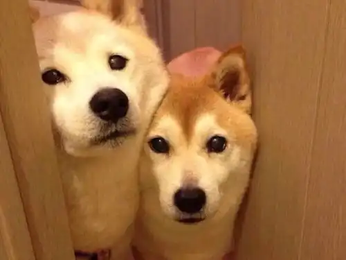  背景图我教他写信他写给我也写给她