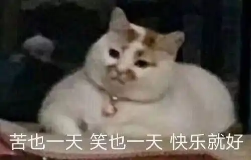  脱单到底有多难都有人找特朗普帮忙娶媳妇了