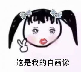  大家好,这是我的2017年终总结扎心版