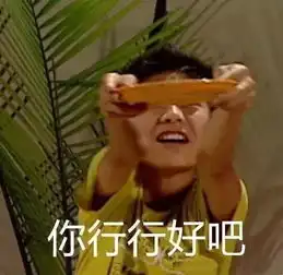 罗罗布表情包像素版行行