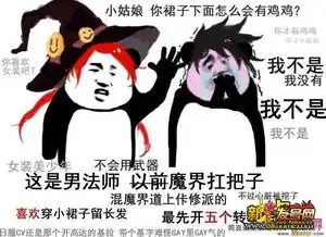  我不是我没有表情包分享dnf职业都被玩坏了