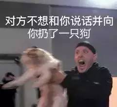  不上车就晚了,对方不想和你说话这个梗已玩坏