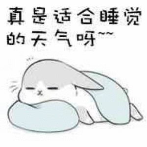  表情包这天气,就算我有男朋友,他跑了我也不会去追