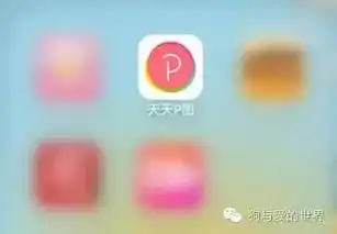  如何用自家狗狗做微信表情包