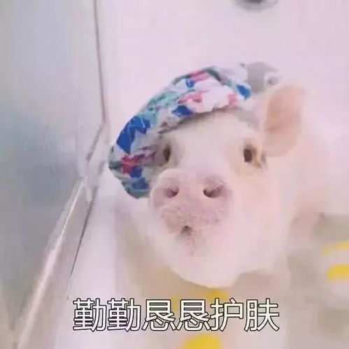  莫文蔚的腿杨丽萍的背许晴的臀刷屏过后永远别小看一个自律的人...