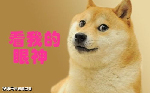  乔任梁父母被狗头开玩笑,你们的玩笑,一点也不好笑