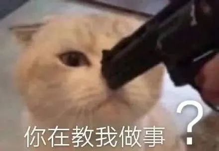  沙雕表情包笑死但没完全死