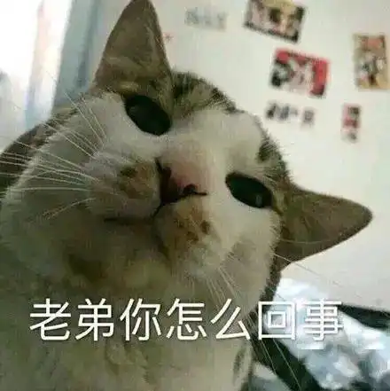  你若安好那还得了丨第146期喵表情