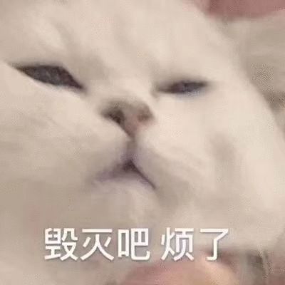  朋友圈发什么最让人反感