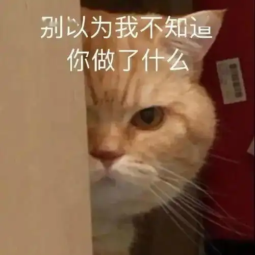  不乖,炖了你哦丨第135期喵表情