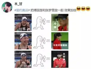 哲学表情包傅园慧