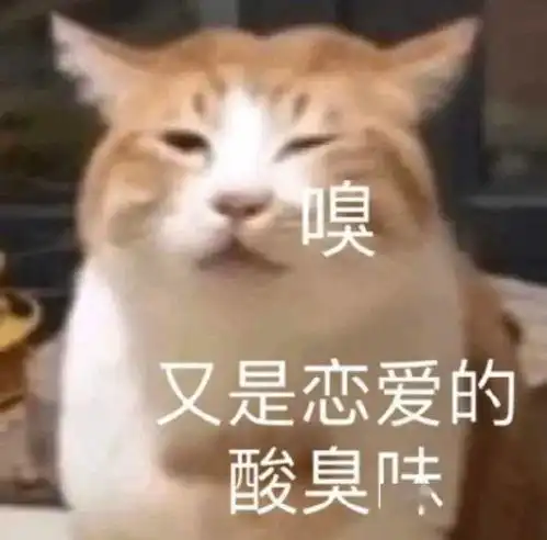 过了表情包小可爱