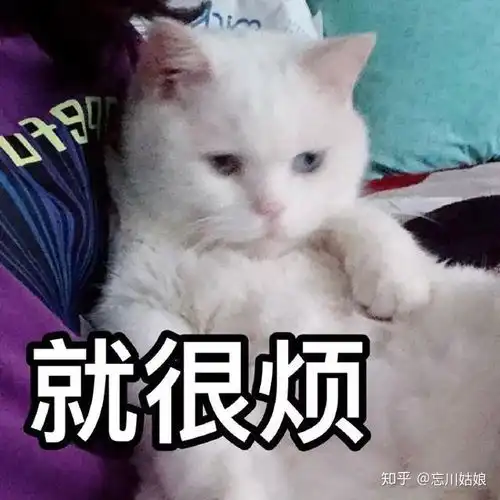太皮了吧表情包告辞
