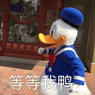 冲鸭类似的表情包善有善
