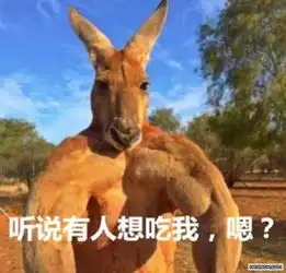  心痛今年澳洲菠萝泛滥成灾手机新浪网