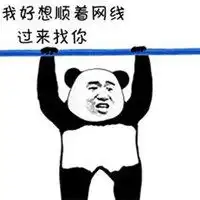  剪网线搞笑表情包微信头像图片大全
