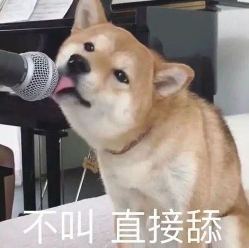  微信开通表情包来源查询功能,8888对情侣已分手