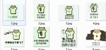  仓鼠qq表情包仓鼠表情合集v1.0免费版软件下载