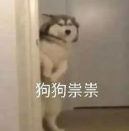  禅城一老板招新人,没想到找了个内鬼3000多元没了...