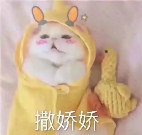 在线等图片表情包可爱