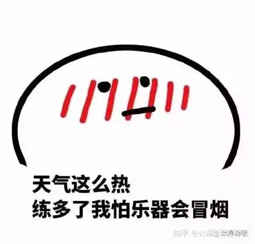  你对提琴发烧到什么程度了
