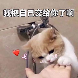  撩小姐姐的表情包,让聊天变甜