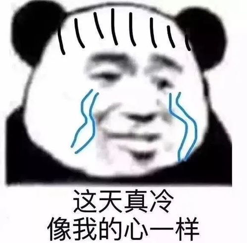  搞笑沙雕熊猫头表情包有人拼结婚吗老公是你的,彩礼是我的