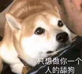 我要失去你了表情包舔狗