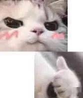  个性表情包