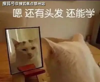 宜兴名豪佳园售楼处电话售楼处地址 宜兴名豪佳园售楼处电话售楼处地址