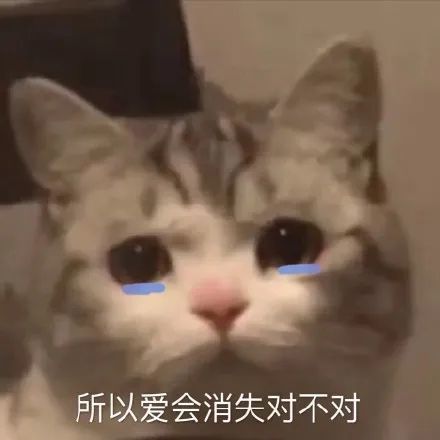  热门沙雕表情包,所以爱会消失对不对