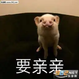  沉迷吸猪表情包最近流行的吸猪表情包下载无水印乐游网手机下载站