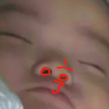  一套带文字的宋民国搞笑表情