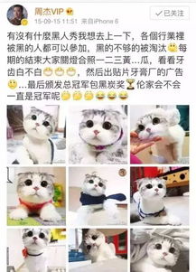  你说周杰是过气表情包,其实他才是还珠的人生赢家