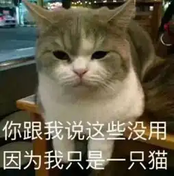  双十一快递量欲创新高,快递纸箱检测引关注