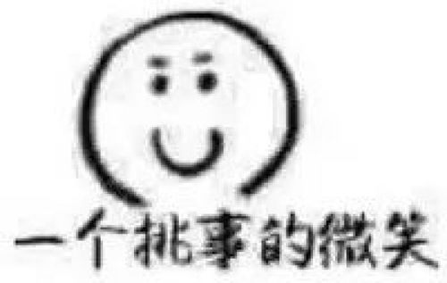 ray模型表情包瓜子
