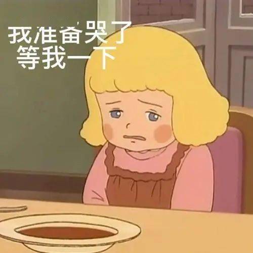 莎拉公主表情包头像