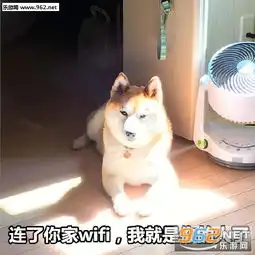  你是不是近视眼套路图片你是不是近视套路表情包下载乐游网游戏下载