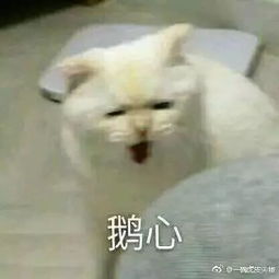  表情包大战弹药补充处