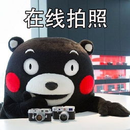  熊本熊表情包在线拍照,拍的好每张一元