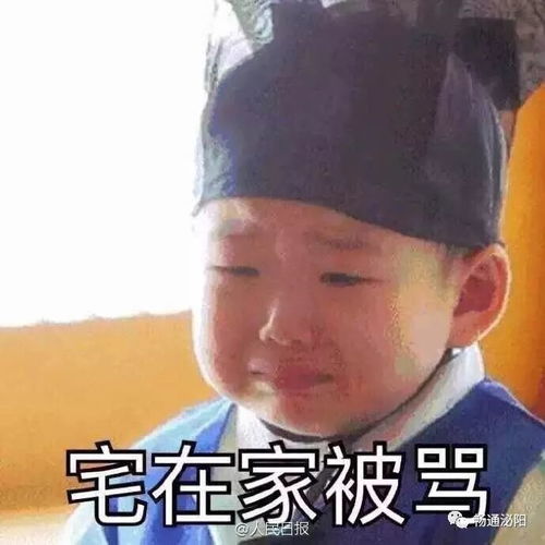  照片