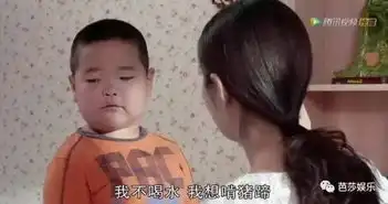  跳舞的小胖墩原来是乡村爱情里的扛把子民国表情包霸主地位有点不保了