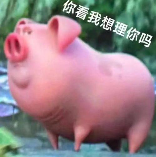  啊啊啊可可爱爱的飞天猪猪表情包来袭,火速囤货