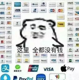  新时代支付宝年账单来了网友原来我是那么有钱的穷人