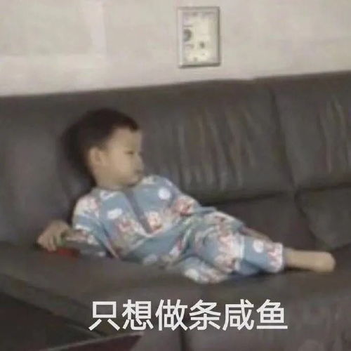 每日表情包更新丈母娘